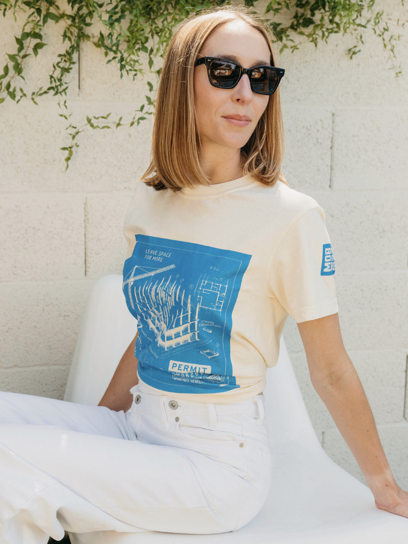 Blueprint for Progress